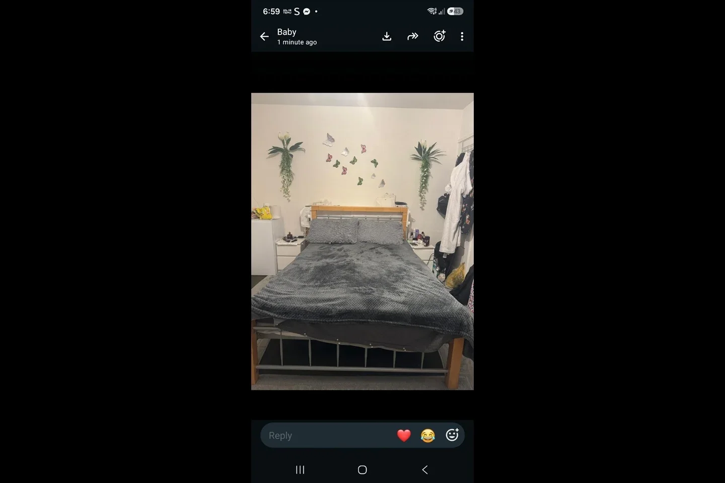 Room Rokeby Street in Greater London
