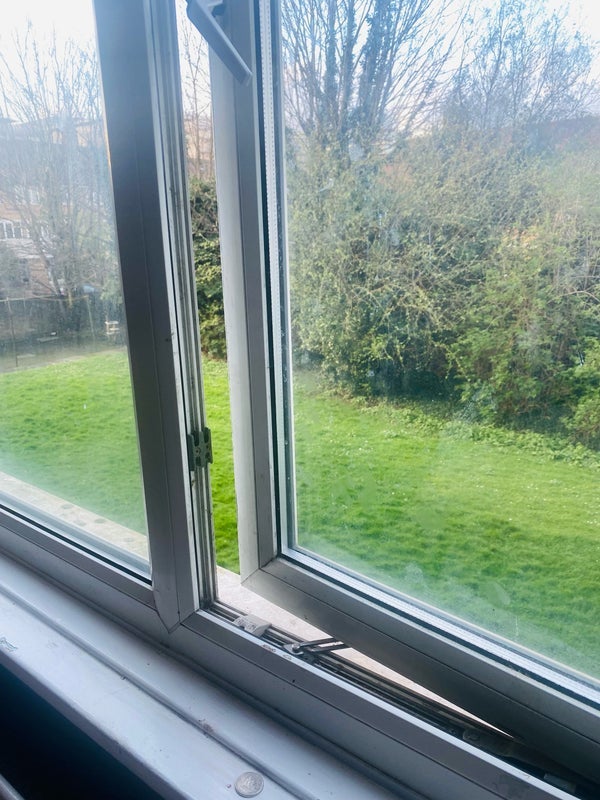Room Pelton Road in Greater London