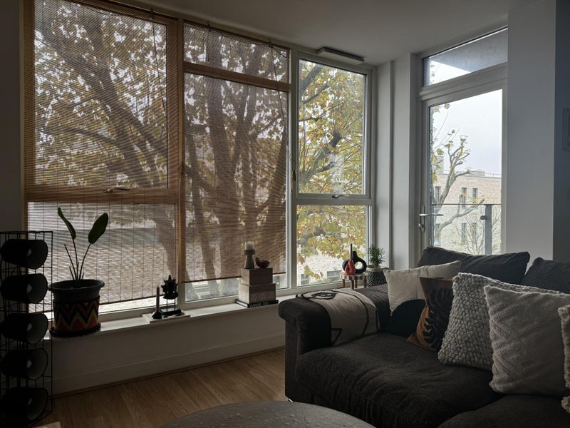 Room Ward Lane in Greater London