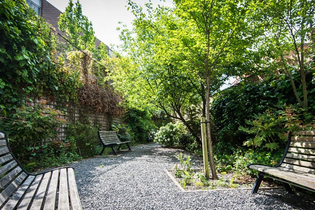 Room Green Lanes in Greater London