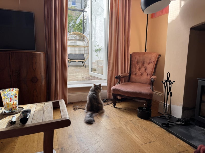 Room Clyde Road in Bristol