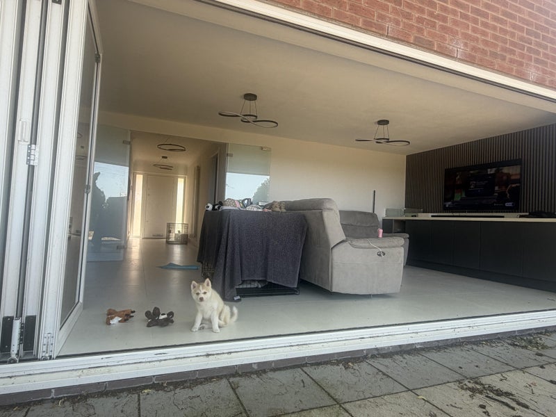 Room Orchard Walk in Preston