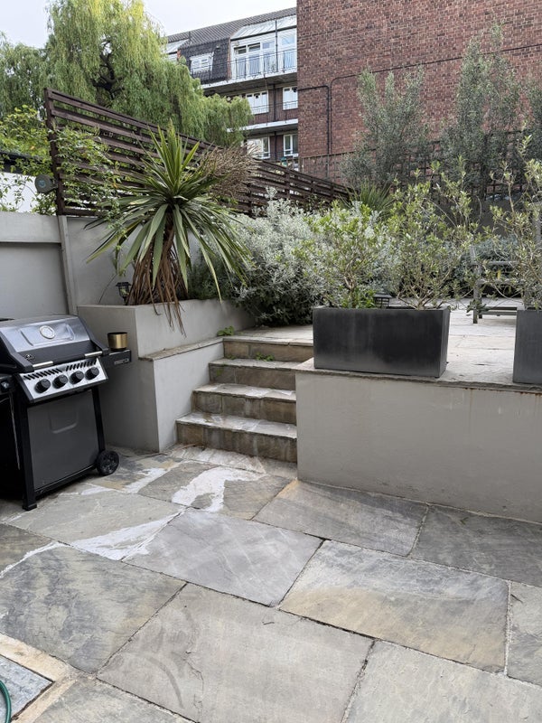 Room Gunter Grove in Greater London