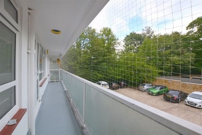 Flat Dove Park in Greater London