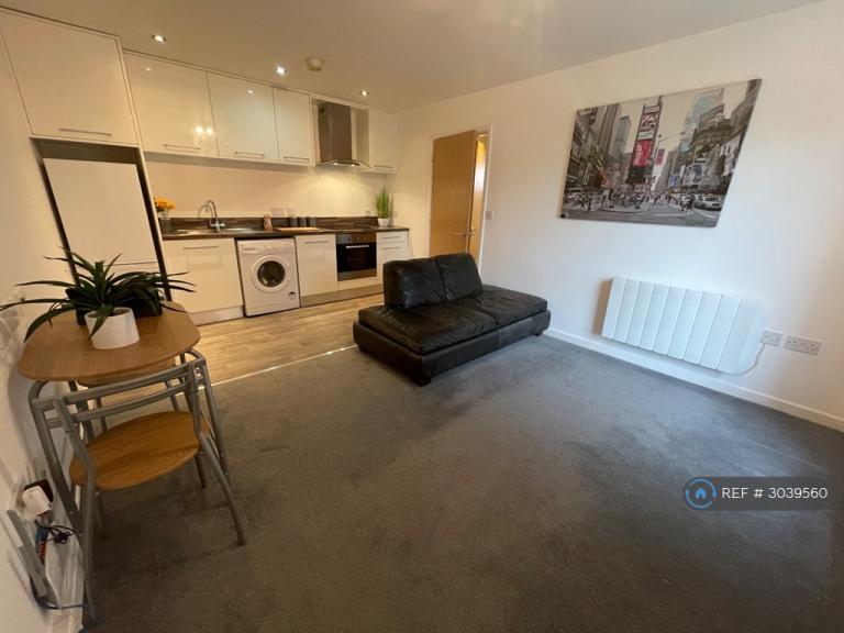 Flat Owston Park in Hull