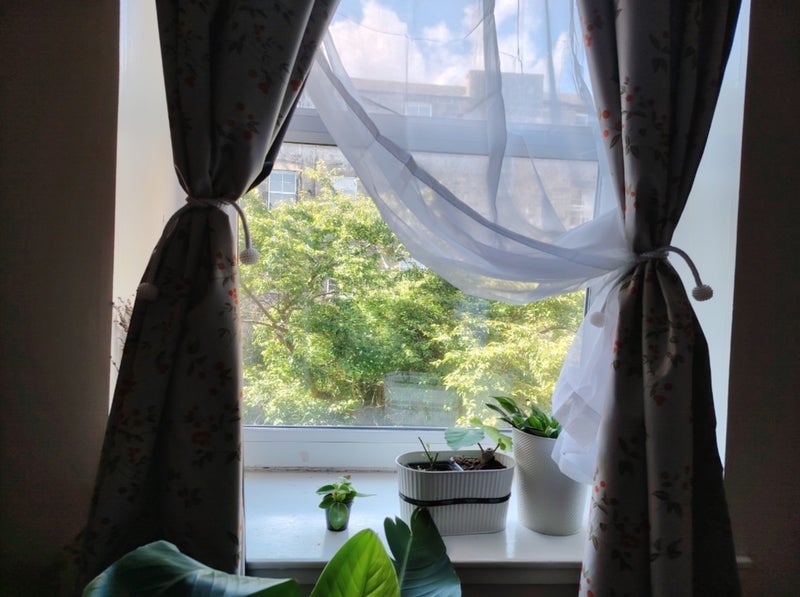 Room Leith Walk in City of Edinburgh