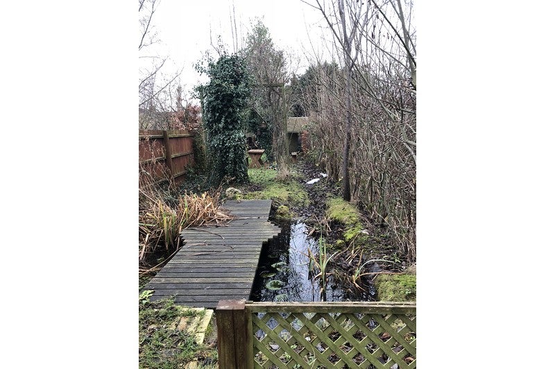 House Ditton Walk in Cambridge