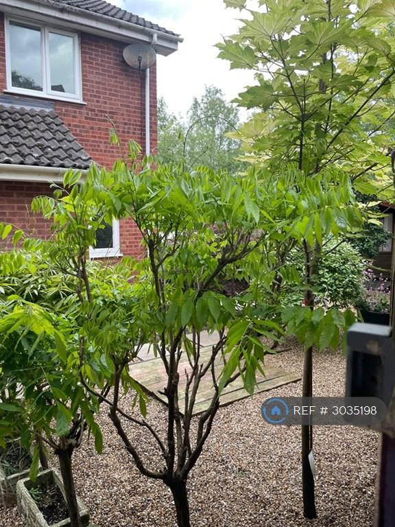House Hexham Close in Sandhurst