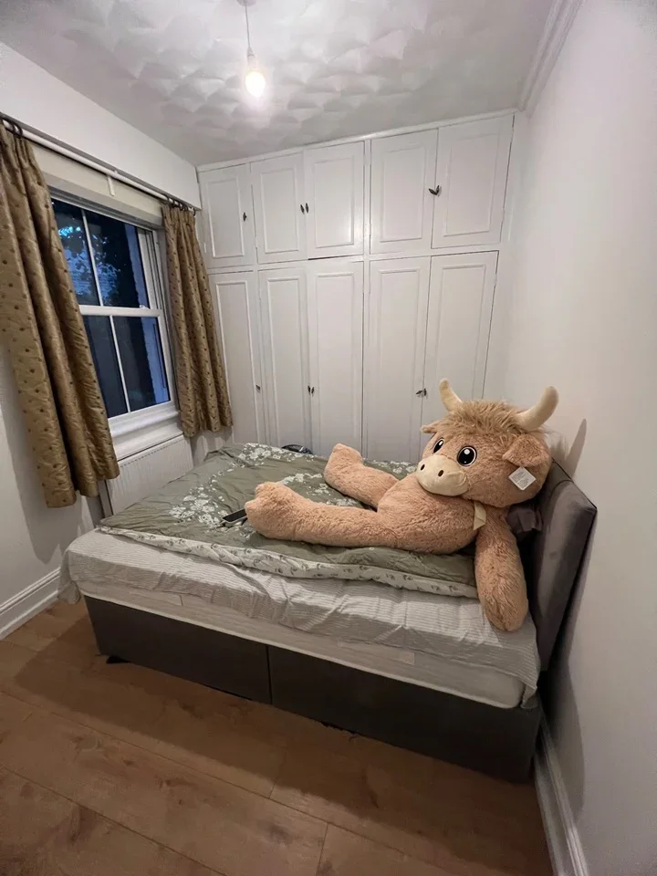 Room Finborough Road in Greater London