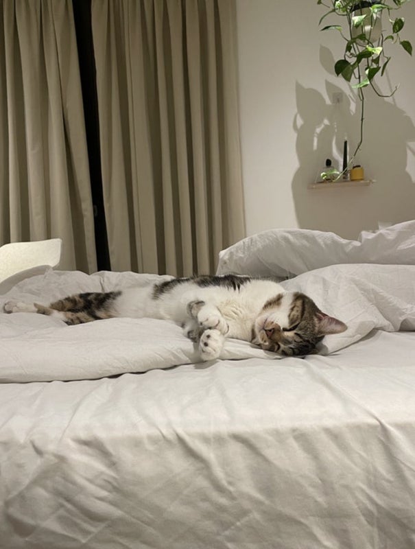 Room Cutter Lane in Greater London