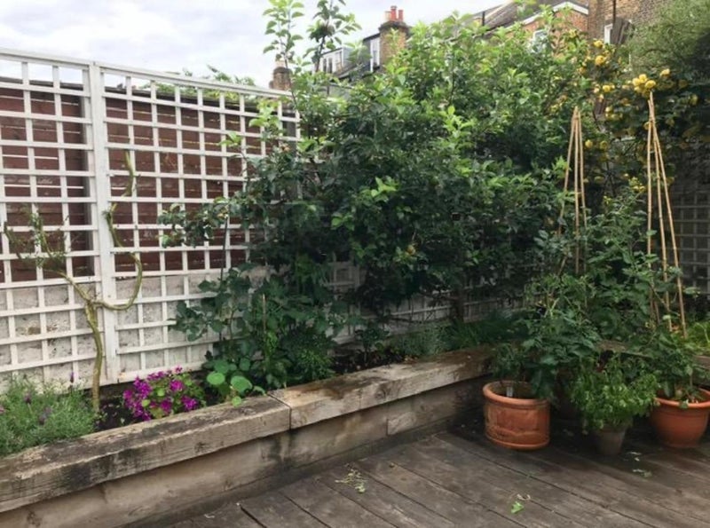 Room Stansfield Road in Greater London