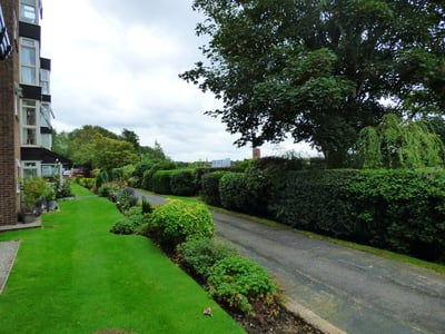 Flat Daisyfield Greenway in Bury