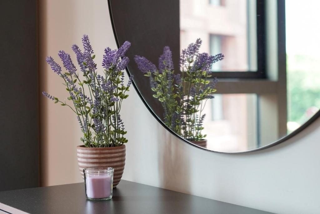 Flat Newcastle Place in City of Westminster