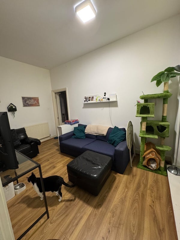 Room Hackney Road in Greater London