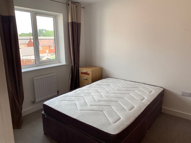 Room Sorrel Place in Bristol