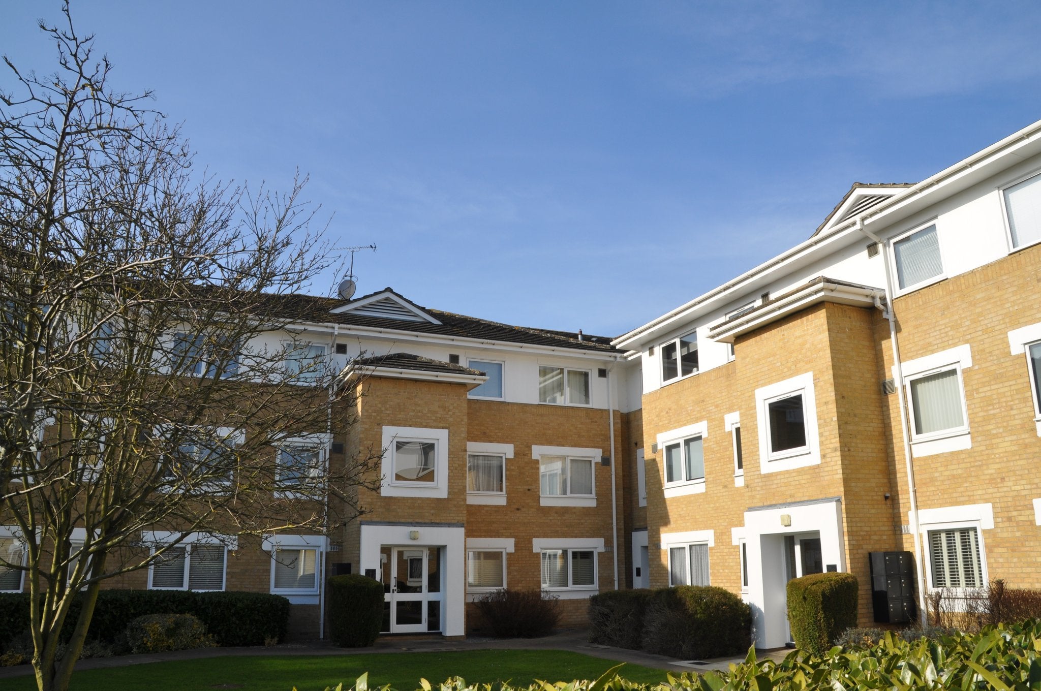 Flat Wood Street in Chelmsford