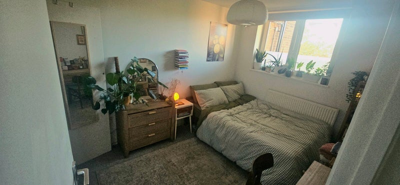 Room Sewardstone Road in Greater London