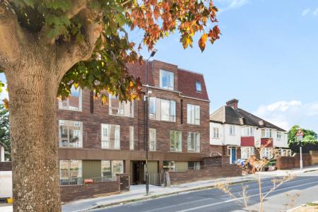 Flat Dog Kennel Hill in Greater London