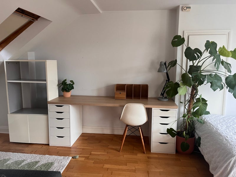 Room Sylvester Road in Greater London